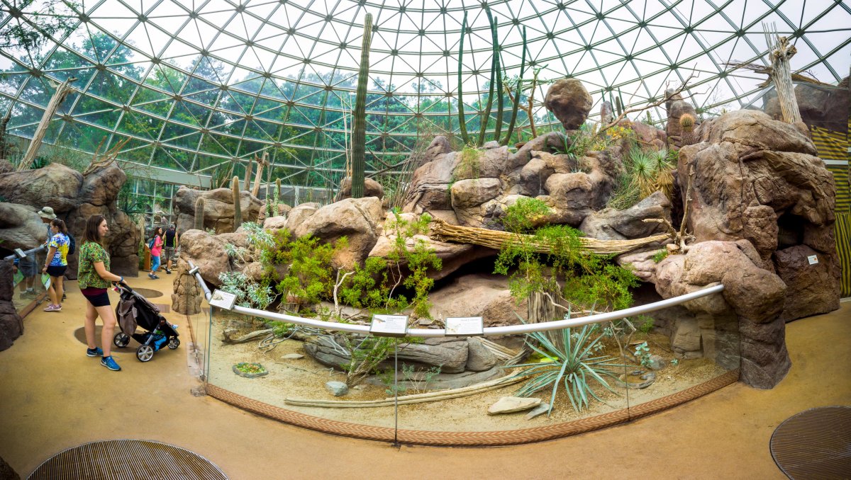 Beyond the Guidebook North Carolina Zoo in Asheboro